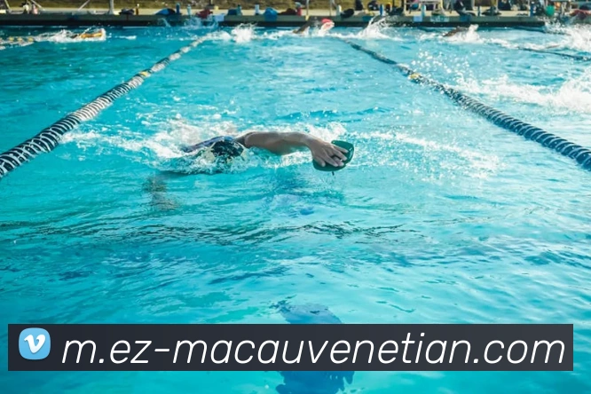 威尼斯人官网服务体系